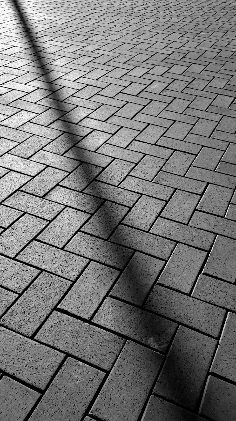 Réalisation Nexa Paysagement — Aménagement extérieur résidentiel